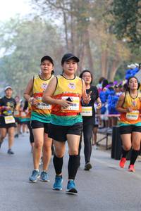 BIB: 079, 15674, 0543
                            <button type="button" onclick="openModal(10413643)" class="btn btn-primary btn-sm float-right btn-popup" data-toggle="modal" data-target=".modal-high-quality">
                        <i class="fas fa-shopping-cart"></i> Add to Cart
                    </button>
                                            <button type="button" onclick="isThisMe(10413643, true)" class="btn btn-success btn-sm float-right btn-popup btn-isme hidden" data-toggle="tooltip" data-placement="bottom" title="นี่คือรูปของคุณใช่ไหม คลิกที่นี่เพื่อเอาเข้าอัลบั้ม">
                        <i class="fas fa-plus"></i> Add to album
                    </button>
                    <button type="button" onclick="isThisMe(10413643, false)" class="btn btn-warning btn-sm float-right btn-popup btn-isnotme hidden">
                        <i class="fas fa-ban"></i> Remove from album
                    </button>